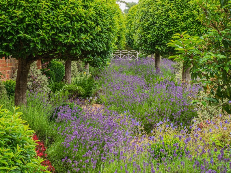 Greenfields, Little Rissington